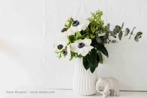 希望の花言葉を持つお花まとめ｜妊活中なら積極的に飾りたい